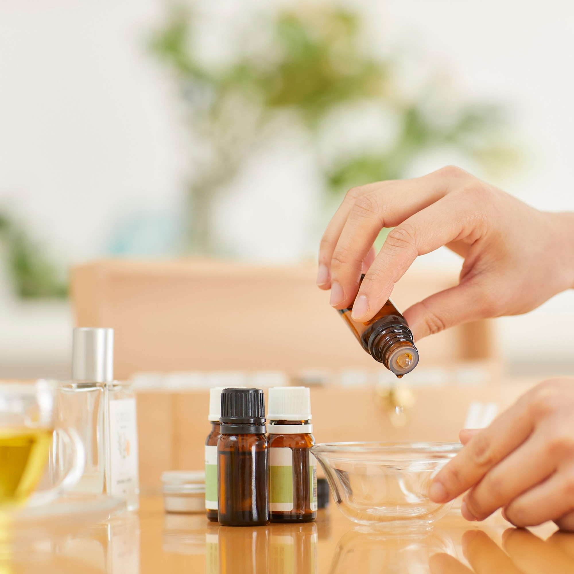 Teebaumöl - Multitalent für Haut, Haar und Wohlbefinden